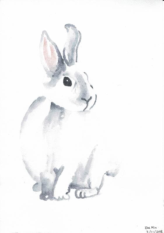 Artwork 20